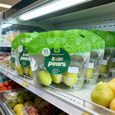 Vim li cas Vented Plastic Product Bags yog qhov zoo rau khaws txiv hmab txiv ...